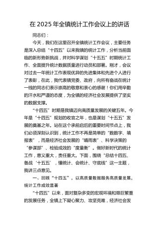 全镇统计工作会议上的讲话（乡镇）