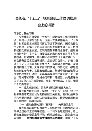 县长在“十五五”规划编制工作协调推进会上的讲话(1)