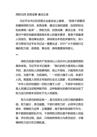用权为民 担责成事 廉洁立身