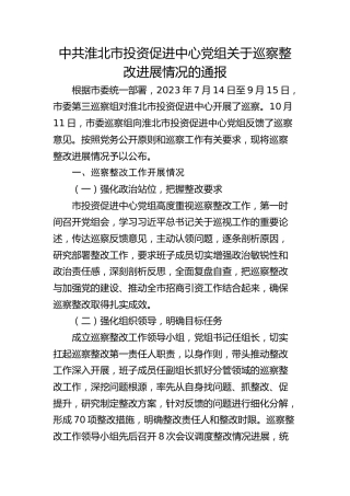 市投资促进中心党组关于巡察整改进展情况的通报