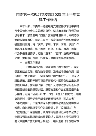 市委第一巡视（巡察）组党支部2025年上半年党建工作总结
