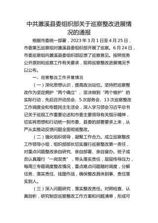 中共濉溪县委组织部关于巡察整改进展情况的通报