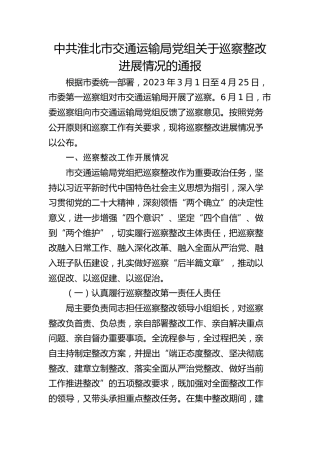市交通运输局党组关于巡察整改进展情况的通报