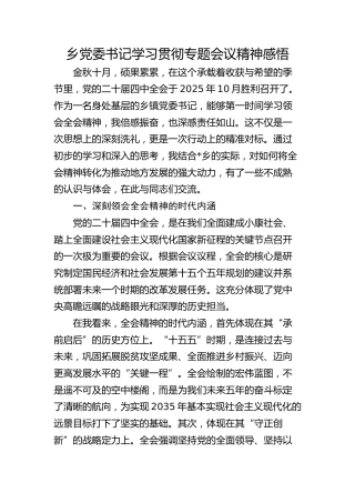 （四中全会）乡党委书记学习贯彻专题会议精神感悟