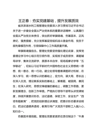 党建经验发言：夯实党建基础 提升发展质效
