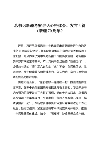 总书记新疆考察讲话心得体会、发言4篇（新疆70周年）
