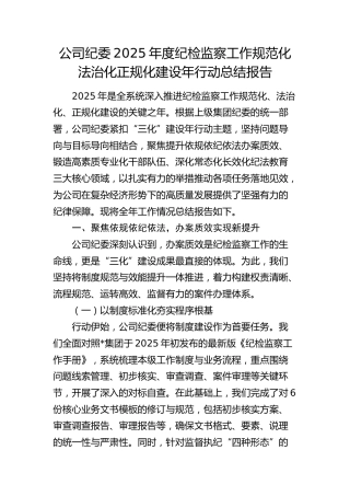 公司纪委纪检监察工作规范化法治化正规化建设年行动总结报告