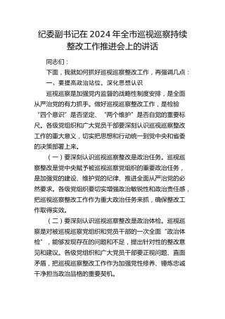 纪委副书记在全市巡视（巡察）持续整改工作推进会上的强调讲话
