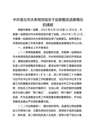 市水务局党组关于巡察整改进展情况的通报