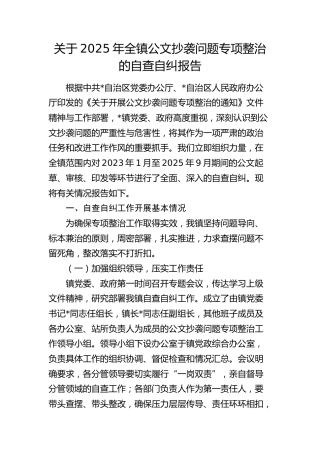 乡镇公文抄袭问题专项整治的自查自纠报告