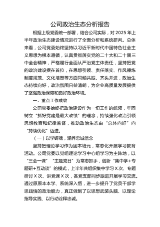 公司政治生态分析报告3600字