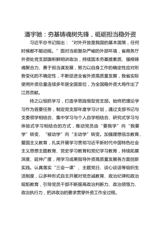 党建经验发言：夯基铸魂树先锋 砥砺担当稳外资