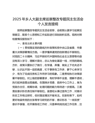 2025年乡人大副主席巡察整改专题民主生活会个人发言