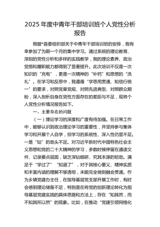 2025年度中青年干部培训班个人党性分析报告（乡镇党建办主任）