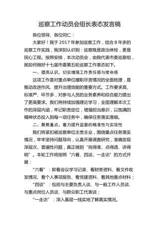 巡察工作动员会组长表态发言稿