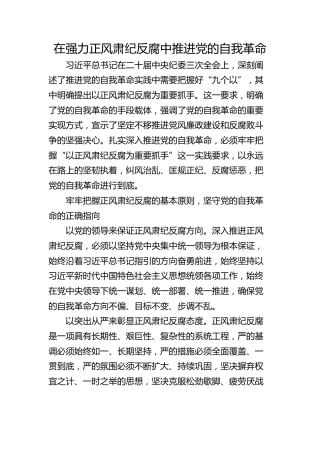 在强力正风肃纪反腐中推进党的自我革命
