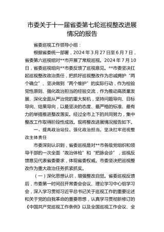 市委关于十一届省委第七轮巡视（巡察）整改进展情况的报告