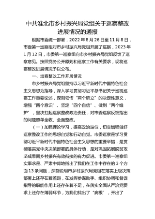 市乡村振兴局党组关于巡察整改进展情况的通报