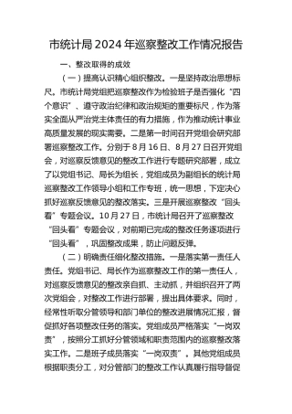 市统计局巡察整改工作情况报告