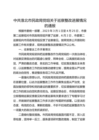 市民政局党组关于巡察整改进展情况的通报