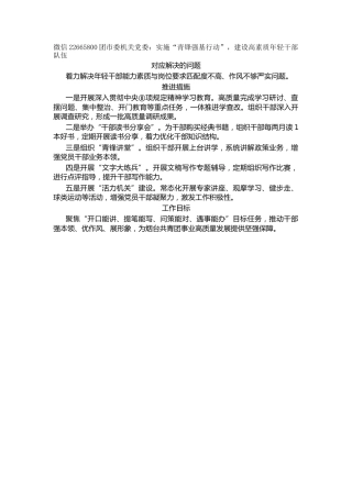 团市委机关党委：实施“青锋强基行动”，建设高素质年轻干部队伍