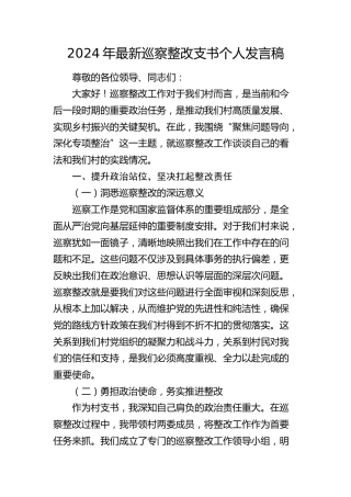 巡察整改村支书个人发言稿
