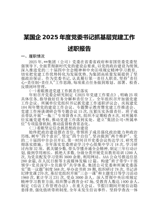 国企公司书记抓党建工作述职报告ppt模板