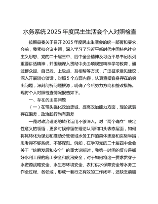 水务系统2025年度民主生活会个人对照检查(1)