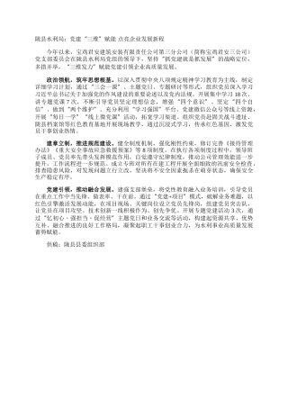 陇县水利局：党建“三维”赋能  点亮企业发展新程