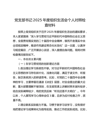 党支部书记2025年度组织生活会个人对照检查(1)