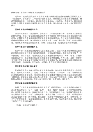 陕钢龙钢：坚持四个导向 激发党建新活力