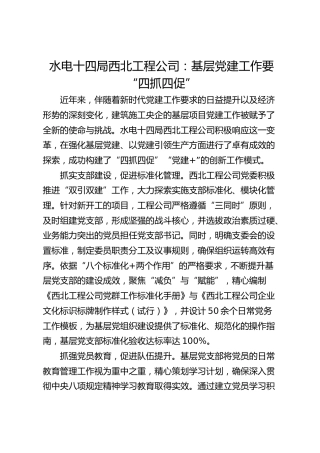 水电十四局西北工程公司：基层党建工作要“四抓四促”