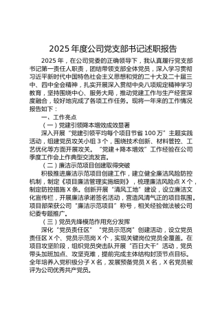 2025年度公司党支部书记述职报告(1)
