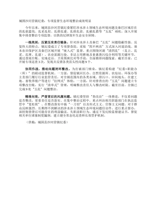 城固沙河营镇纪委：专项监督生态环境整治成效明显