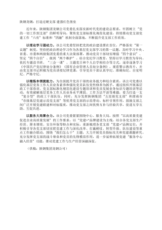 陕钢龙钢：打造过硬支部 建强红色堡垒