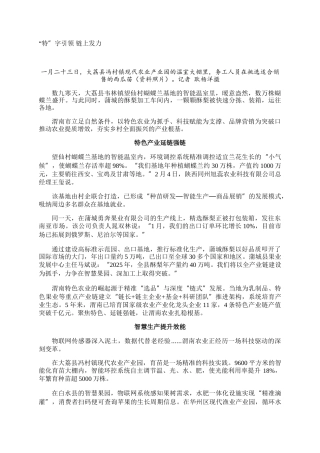 “特”字引领 链上发力