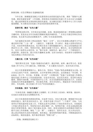 陕钢龙钢：红色引擎驱动 党建赋能发展