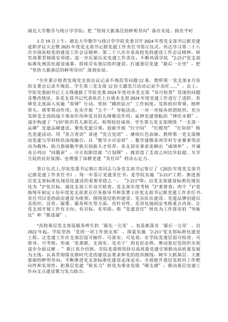 湖北大学数学与统计学学院：把“坚持大抓基层的鲜明导向”落在实处、抓在平时