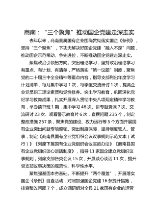 商南：“三个聚焦”推动国企党建走深走实