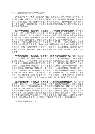 武功：党建引领强根基 哨声联动促提升