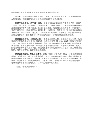 淳化县城投公司党支部：党建领航强根基 实干担当促发展