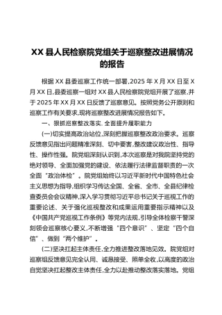 XX县人民检察院党组关于巡察整改进展情况的报告