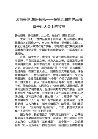 因为有你湖州有光——在第四届世界品牌莫干山大会上的致辞