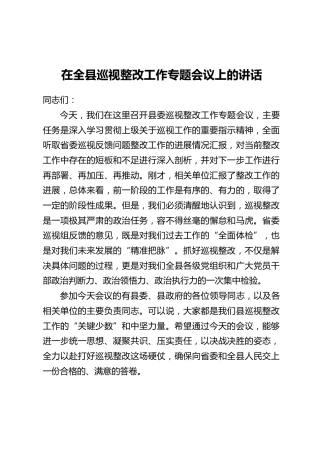 在全县巡视整改工作专题会议上的讲话（2）