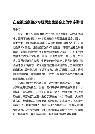 在全镇巡察整改专题民主生活会上的表态讲话