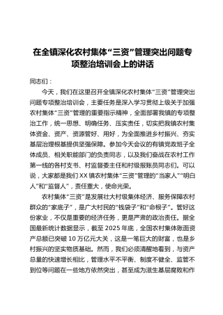 在全镇深化农村集体“三资”管理突出问题专项整治培训会上的讲话