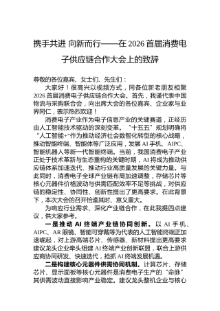 携手共进向新而行——在2026首届消费电子供应链合作大会上的致辞