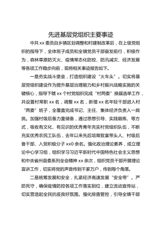 先进基层党组织主要事迹