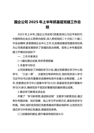 国企公司2025年上半年抓基层党建工作总结