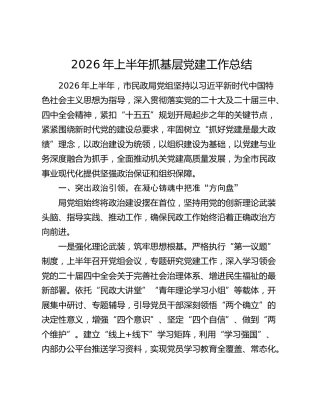 2026年上半年抓基层党建工作总结